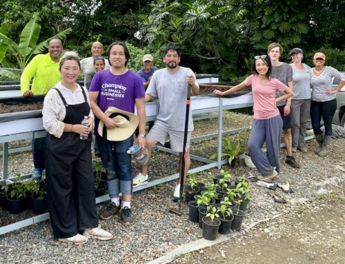 Levantando Volunteer Day at Cultivos Patria Mia