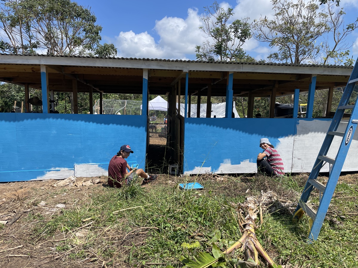 Levantando Volunteer Day 2024 April 6 Finca Nueva Creacion Barn Painting Progress