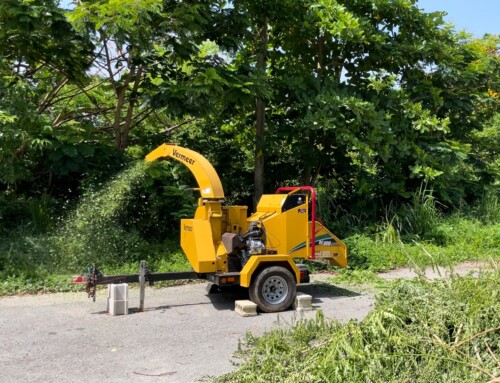 Volunteer days for Palmas Farmers Market lot clean-up