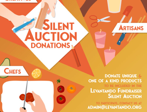 Silent Auction Donation Request 2024