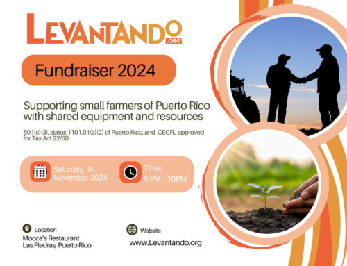 Levantando 2024 Fundraiser Dinner and Silent Auction