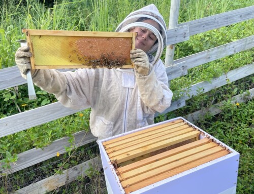 Levantando Honeybee Initiative