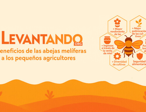 Las Abejas de Levantando