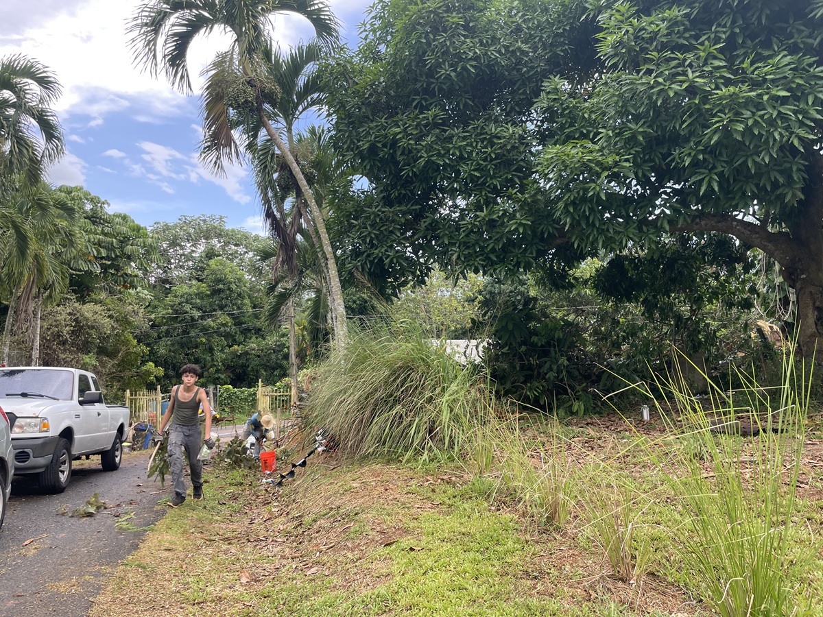 2025-09-06 Branch Removal