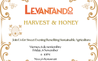 Harvest & Honey Fundraiser Dinner 2026 November 6 for Levantando nonprofit event promotion