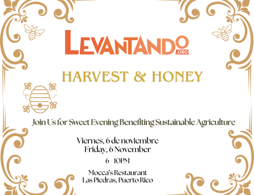 Harvest & Honey Fundraiser 2026