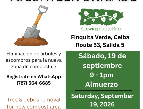 Volunteer Brigade 19 September 2026